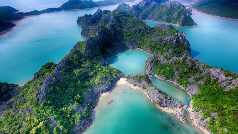 Immerse in Vietnam’s natural heritage during business downtime